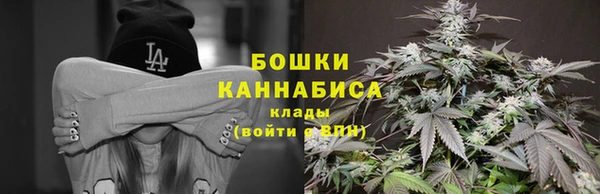 хмурый Арсеньев