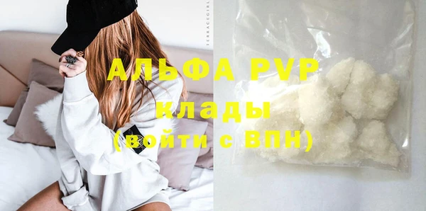 хмурый Арсеньев