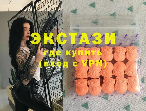 хмурый Арсеньев