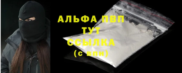 хмурый Арсеньев
