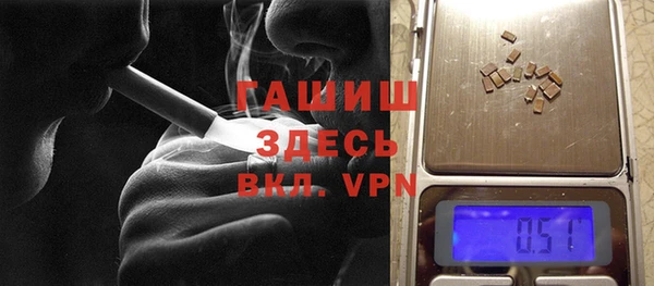 хмурый Арсеньев