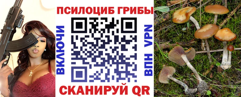 Галлюциногенные грибы Cubensis  Сокол 